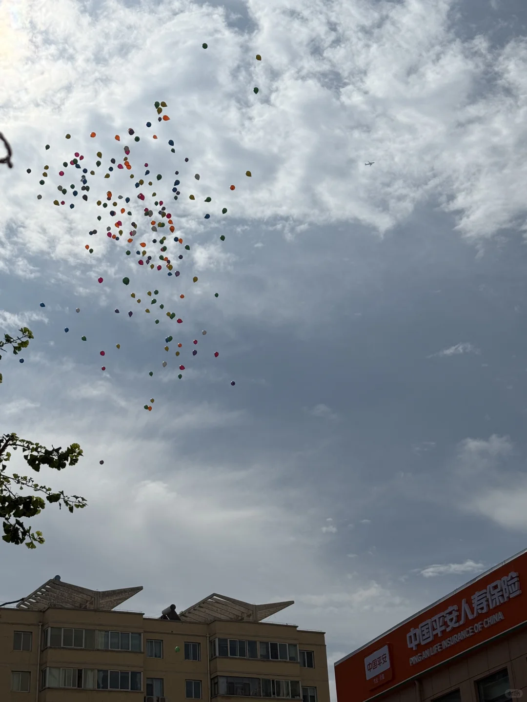 白银区找工作的伙伴们看过来