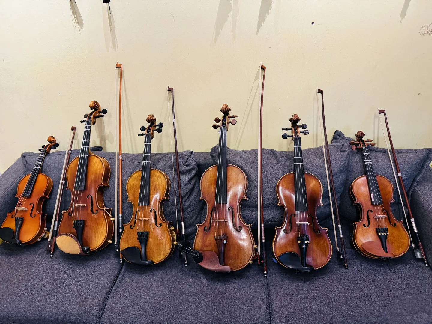 汕头市区招聘小提琴🎻