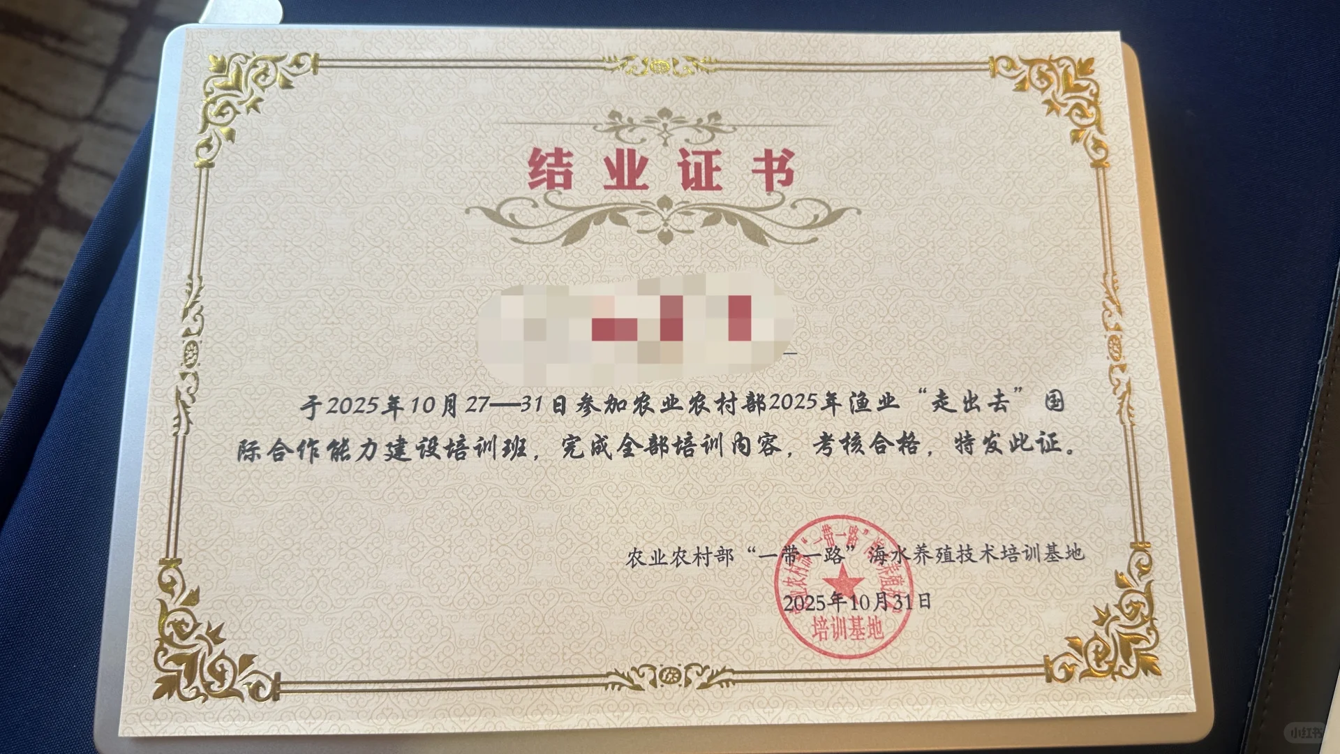 参加农业农村部2025渔业走出去培训班