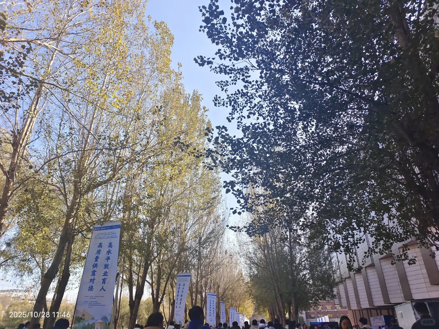 参加双选会,我感觉自己是这片浪潮下的灰烬