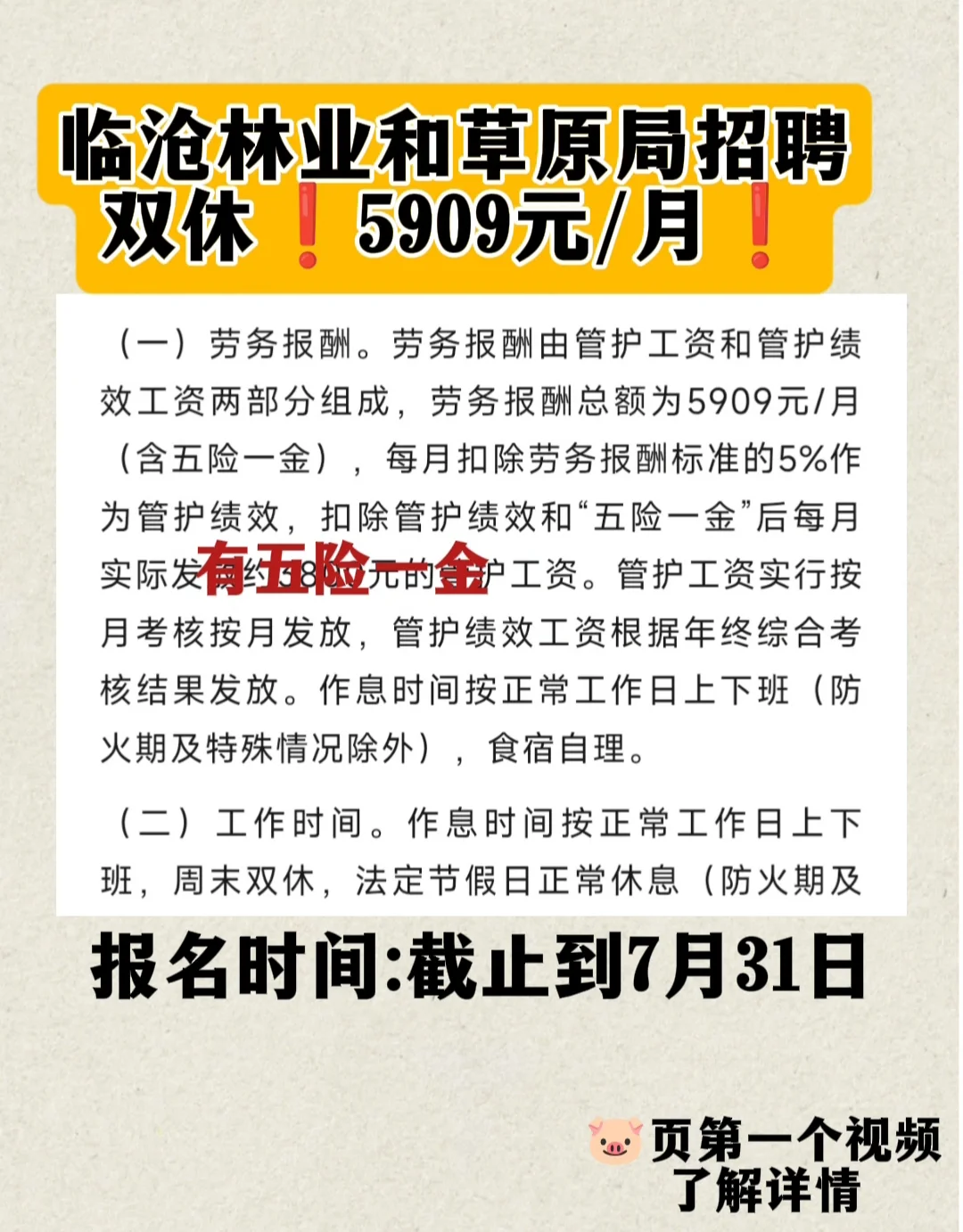 临沧zhao聘❗ 双休❗