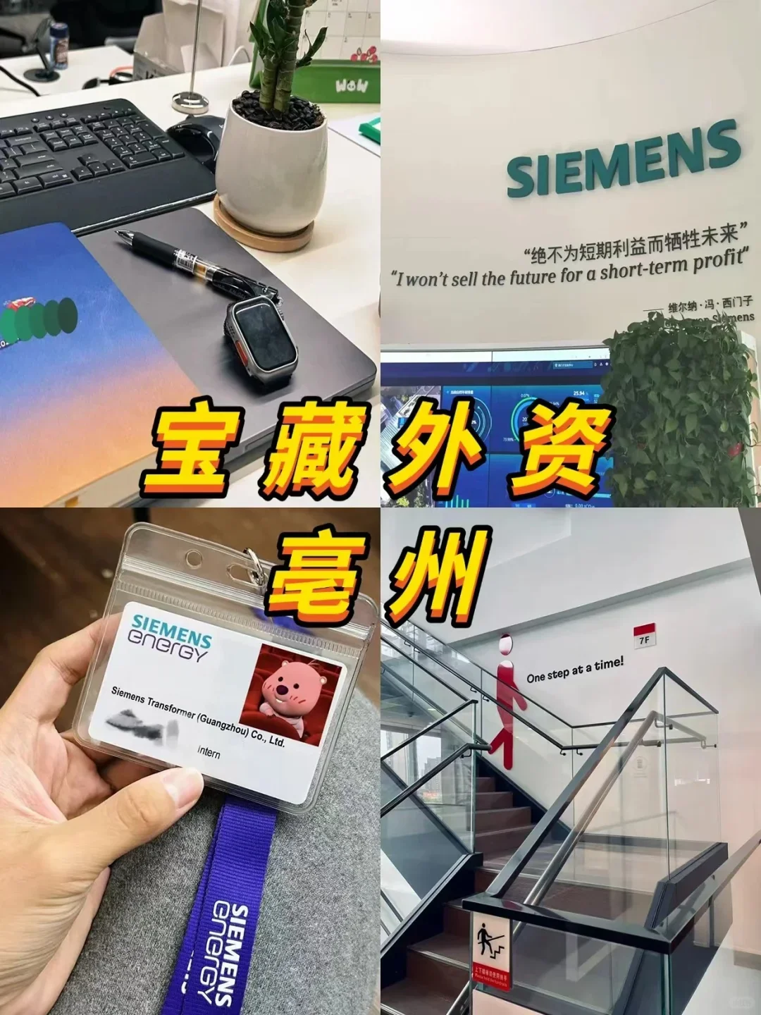 宝藏外资——亳州