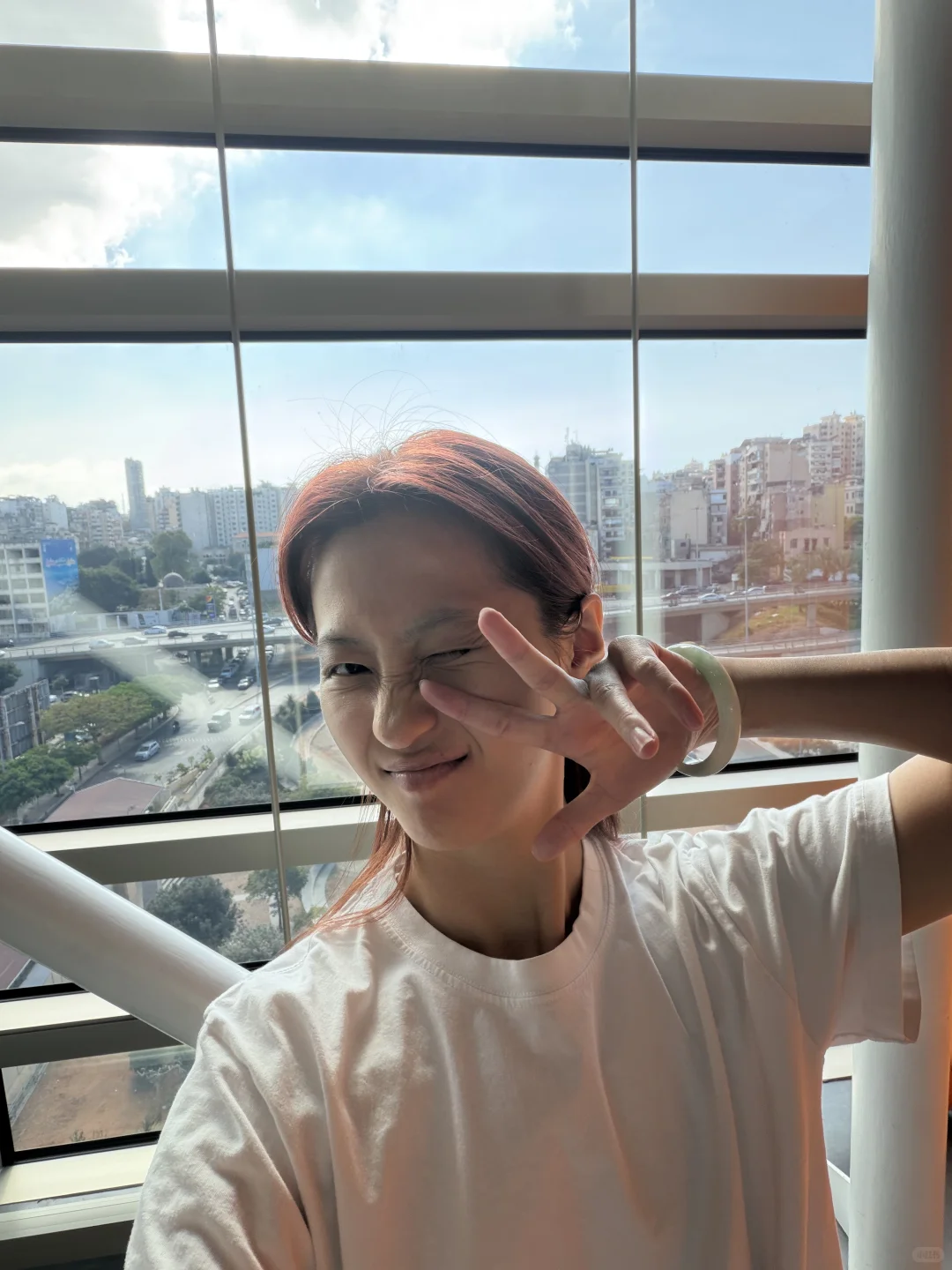 真实的联合国🇺🇳：如果腐败具像化