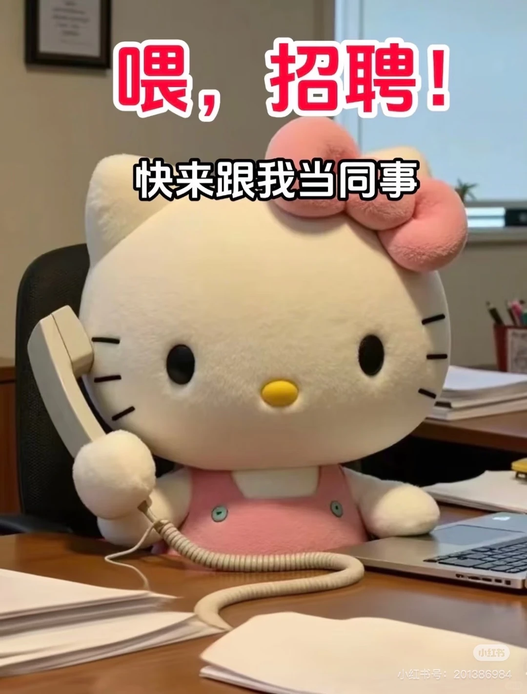 给自己找个同事🤓