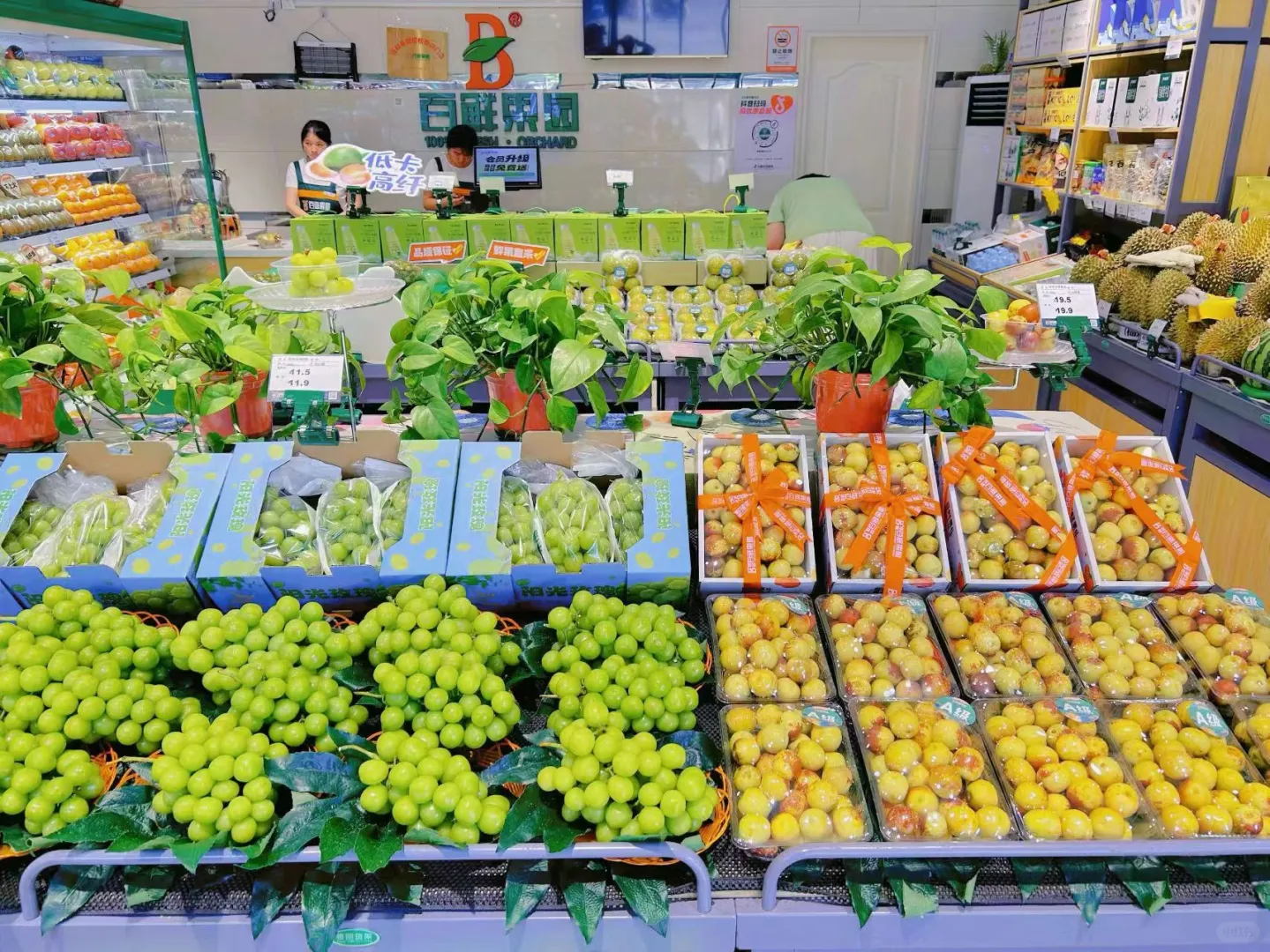 樊城万达附近盛特公园店兼职工有报名的吗？