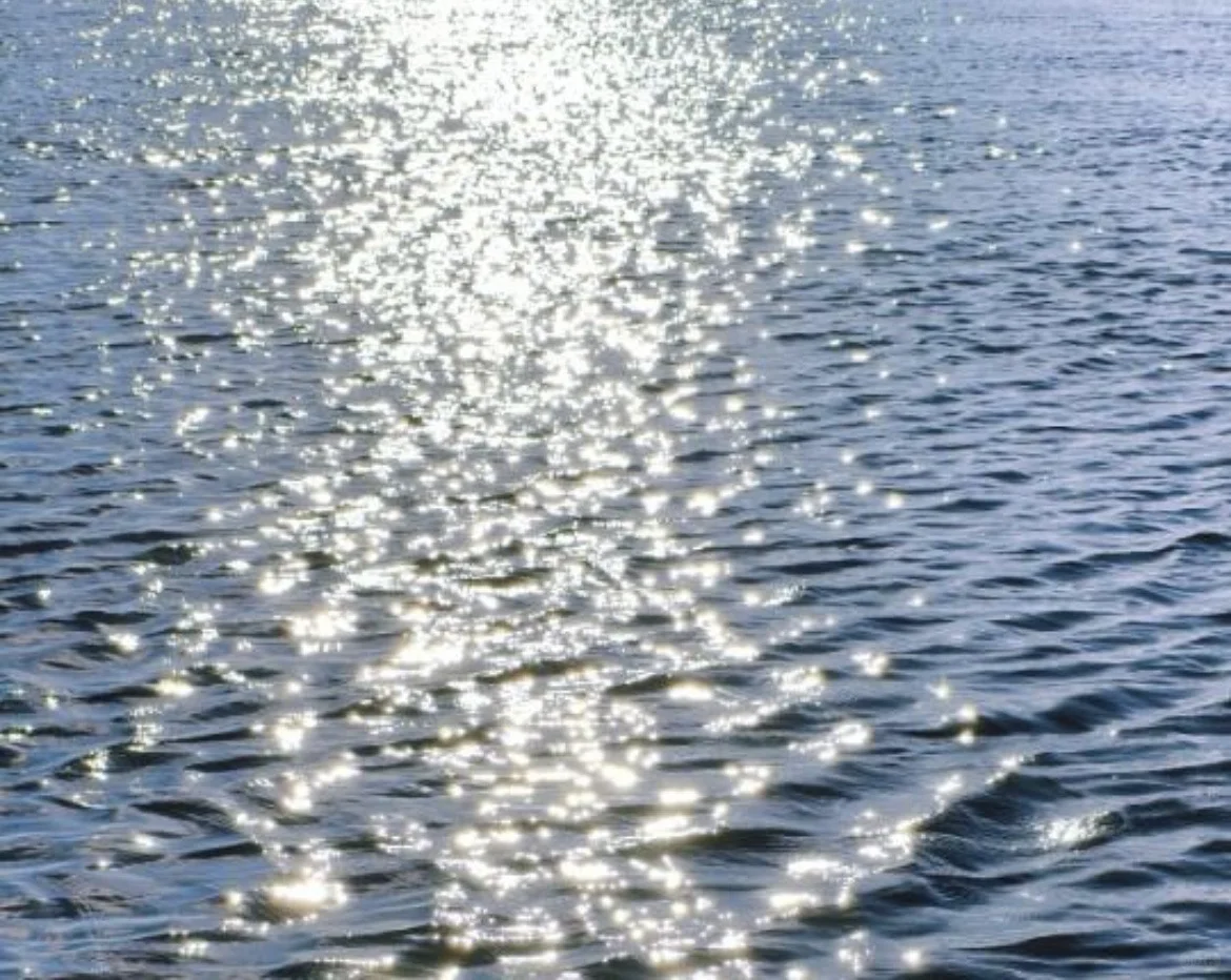 襄阳｜招聘运营岗文员