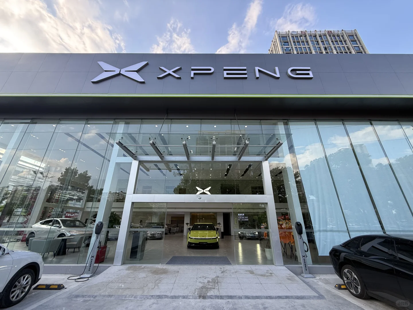 给自己找个同事🤓