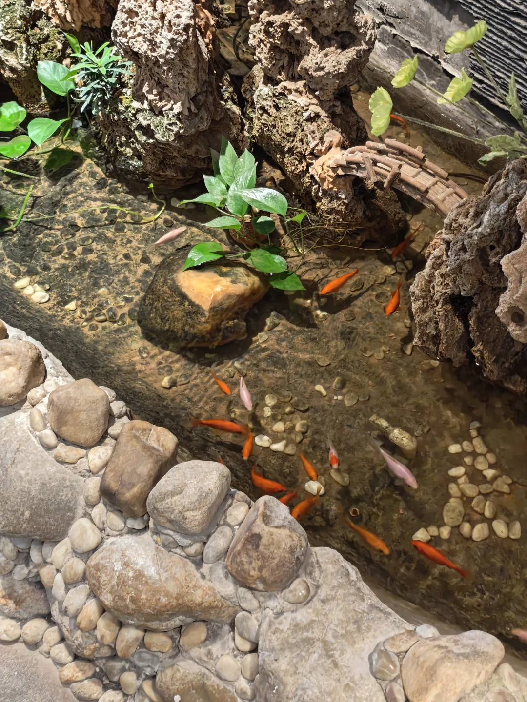 信阳平桥区 招聘！