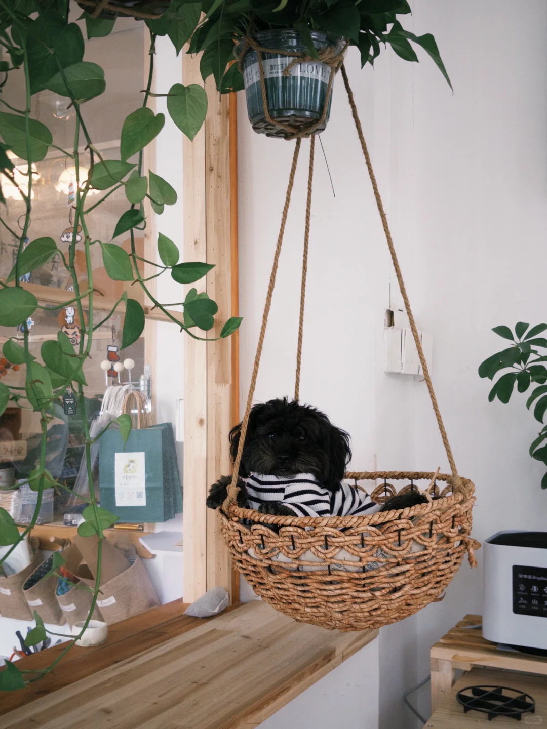 铜陵老体育馆手工店招寒假兼职啦！！！