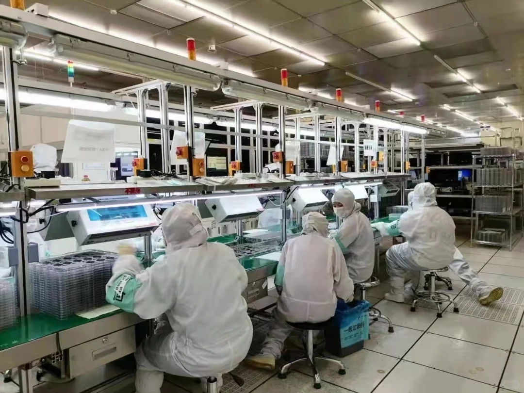 铜陵旭创开招啦🎉🎉欢迎推荐 🧧奖励