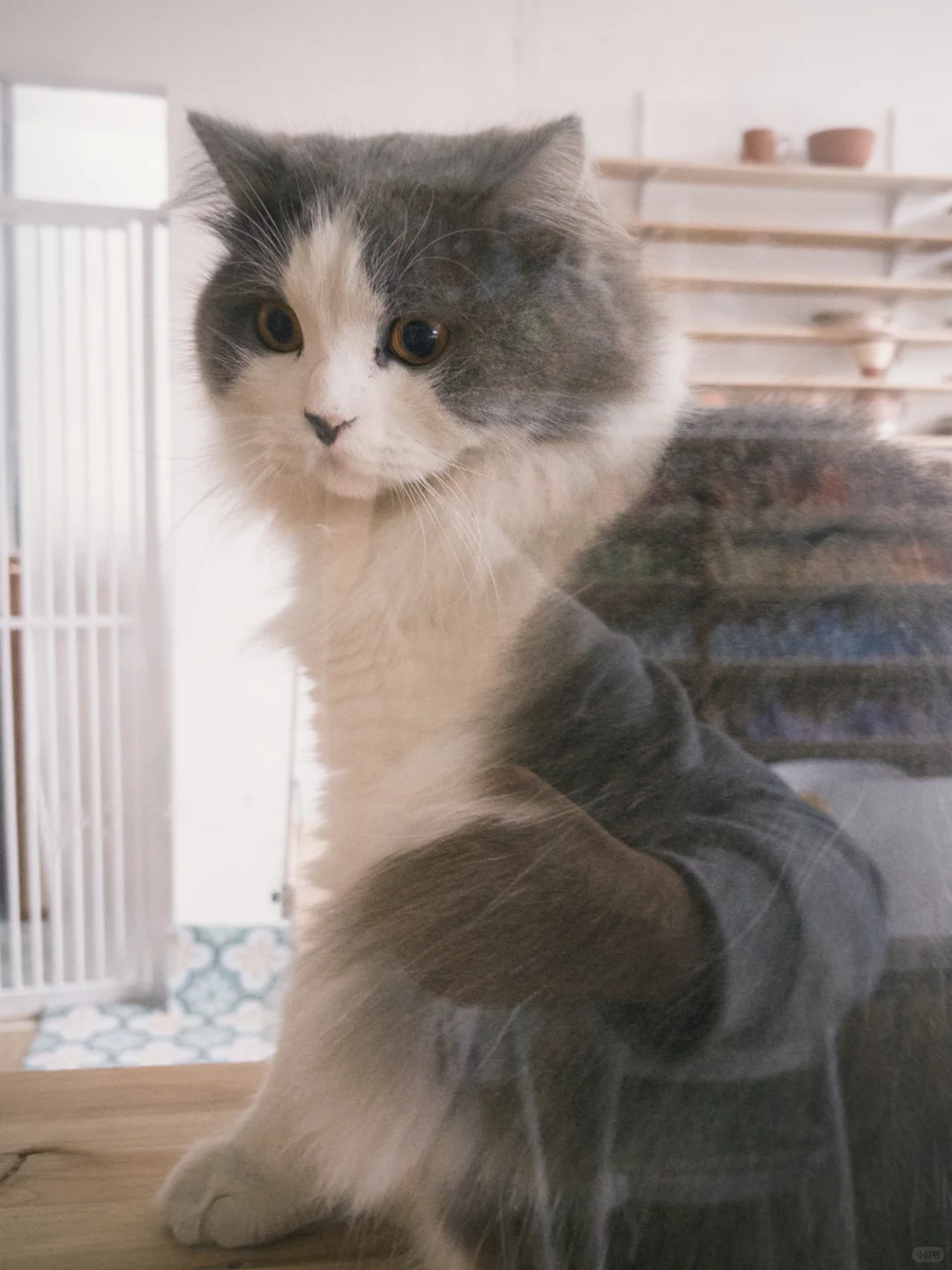 铜陵老体育馆手工店招寒假兼职啦！！！