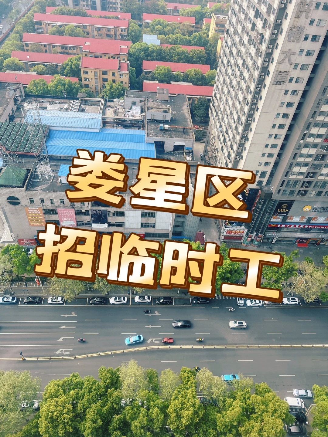 娄星区大量要临时工