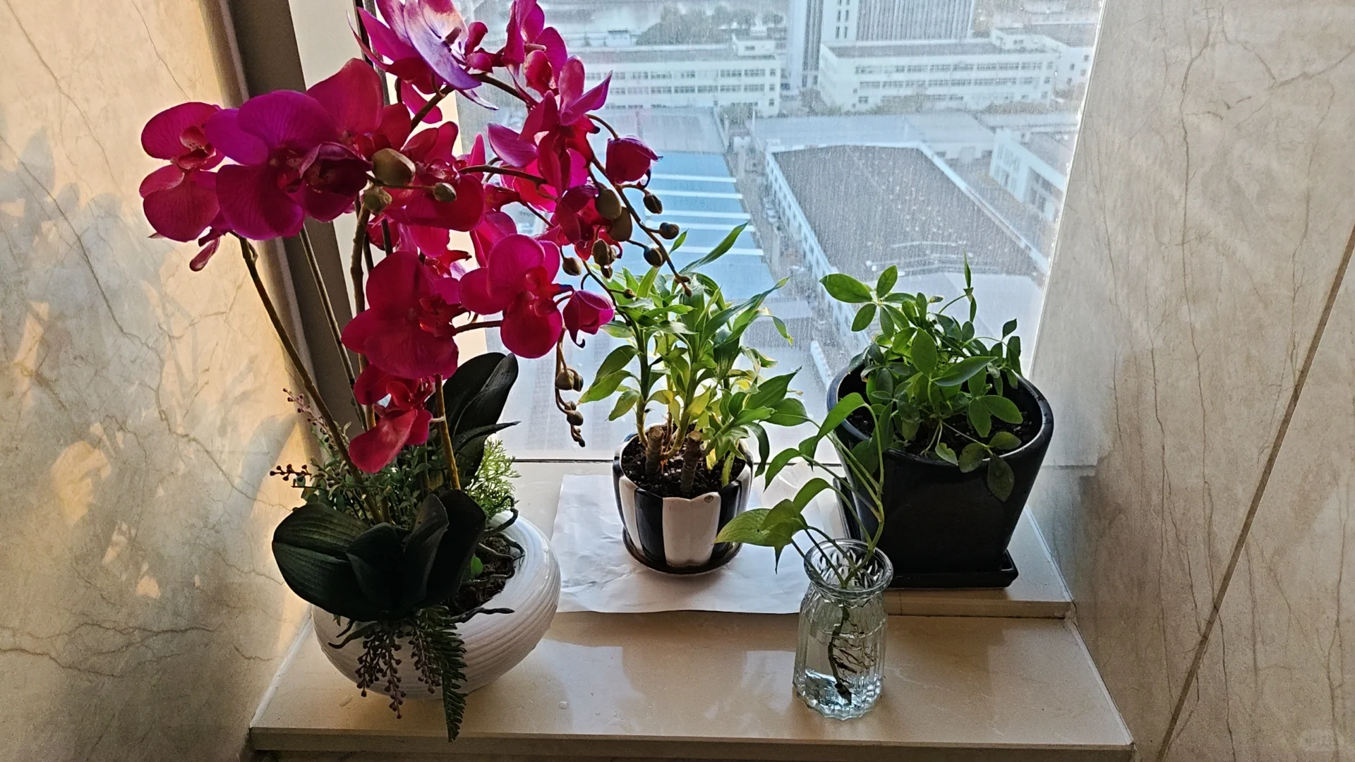 湖州市区招人啦❗❗❗