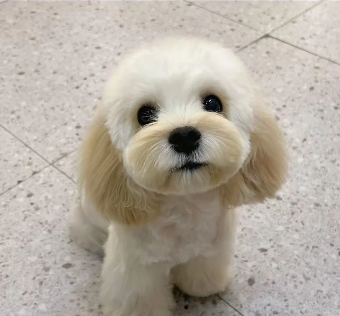 安徽铜陵优质企业招人