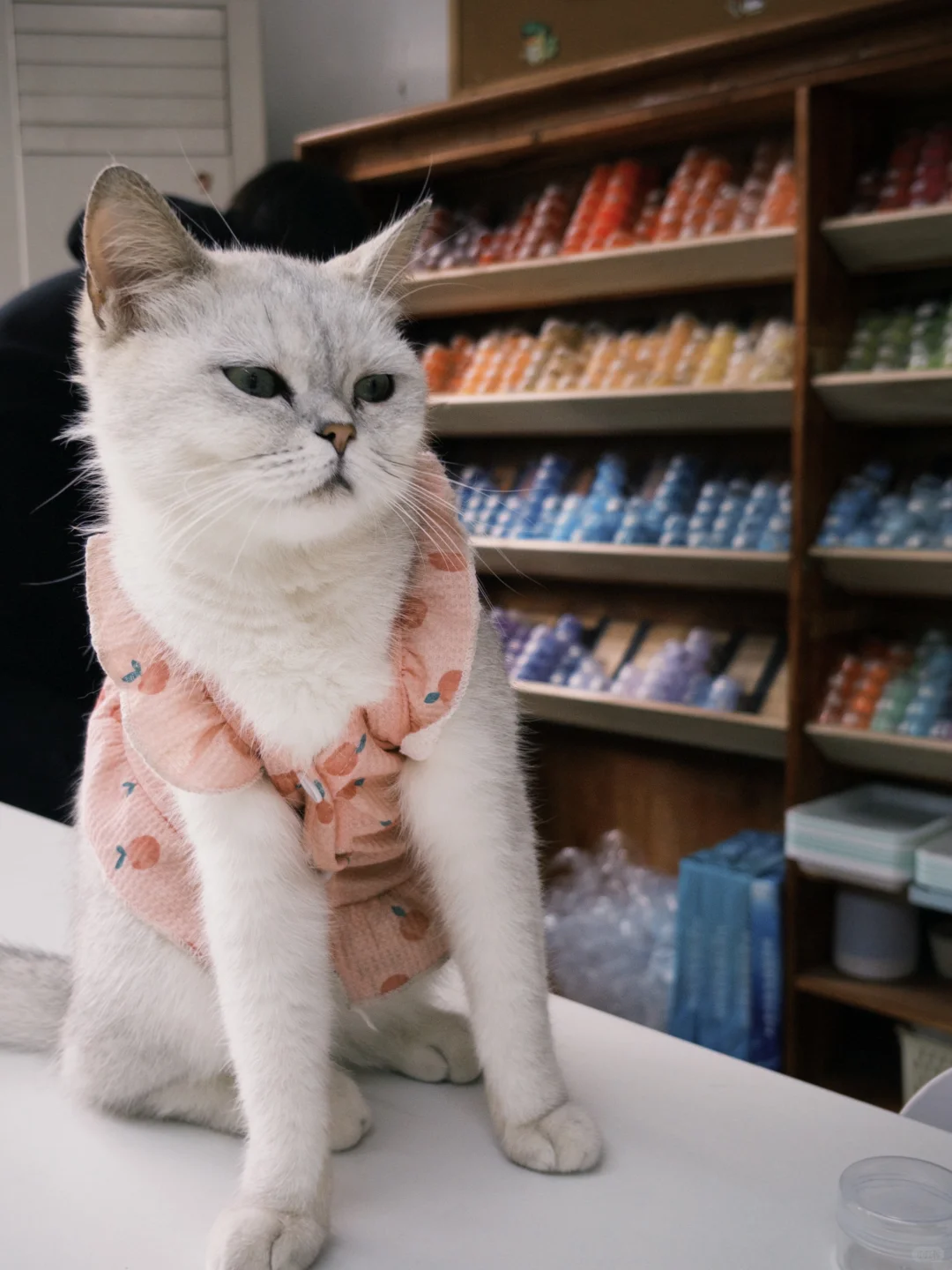 铜陵老体育馆手工店招寒假兼职啦！！！