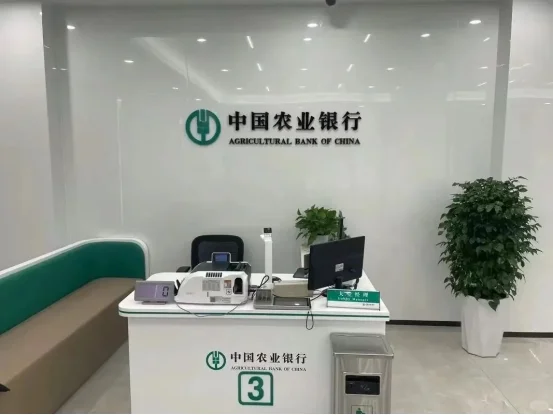 零基础应届生，银行春招上岸！