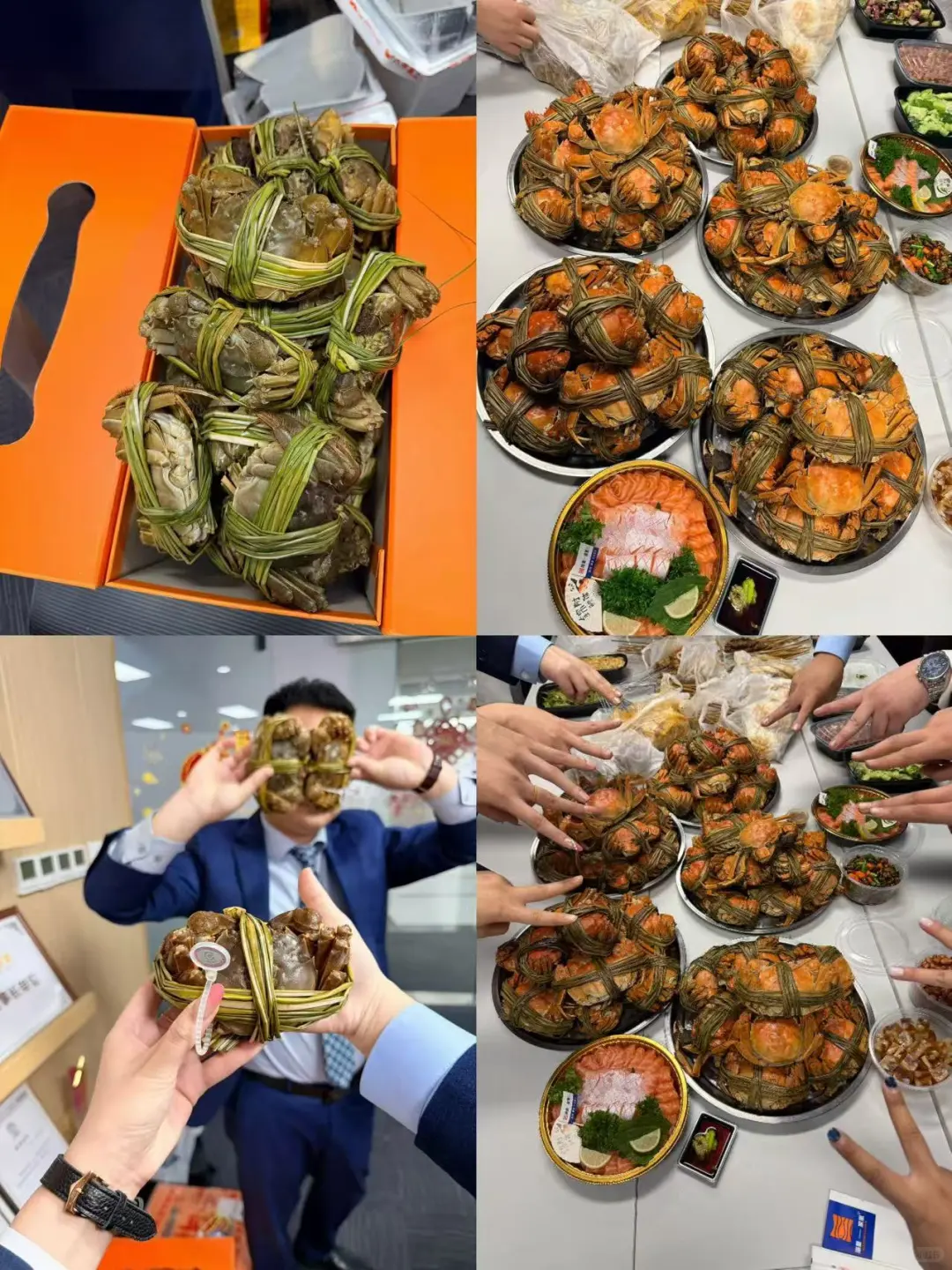 急聘销售顾问和客服专员10名