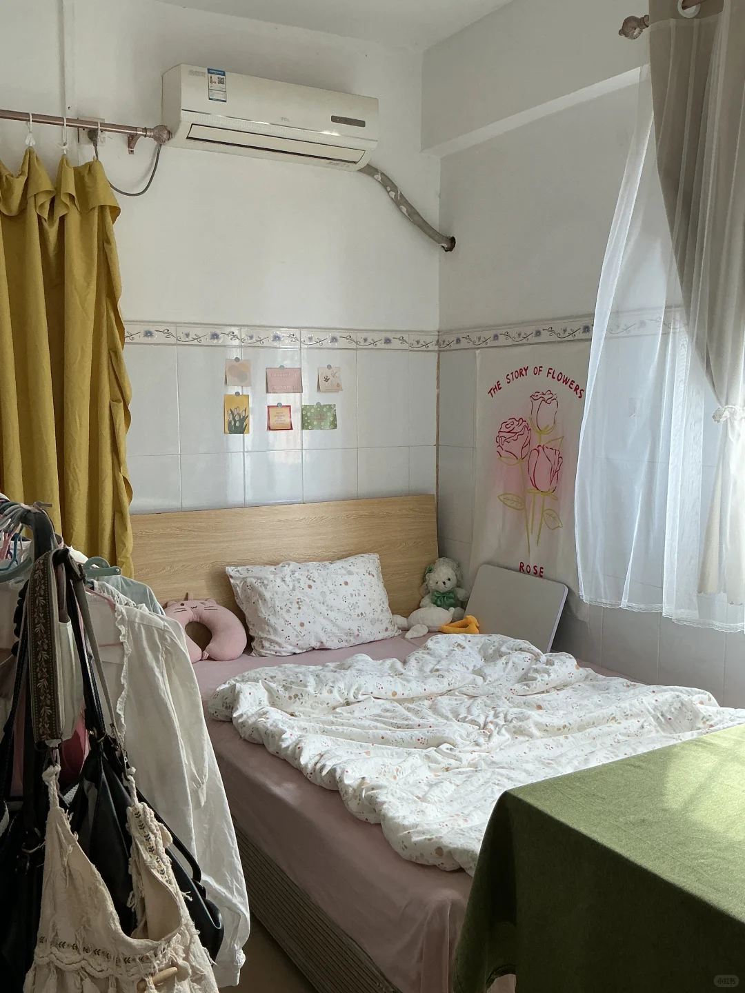 好混乱的25岁：失业-工作-失业