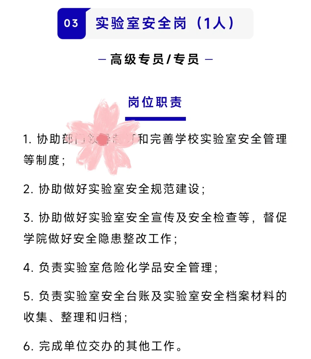 大湾区大学2025年招聘管理岗公告已发布