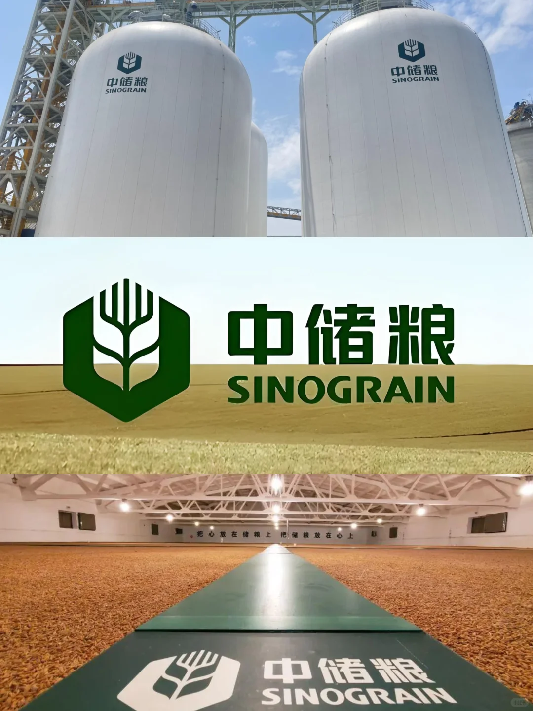 急！缺！中储粮集团人员