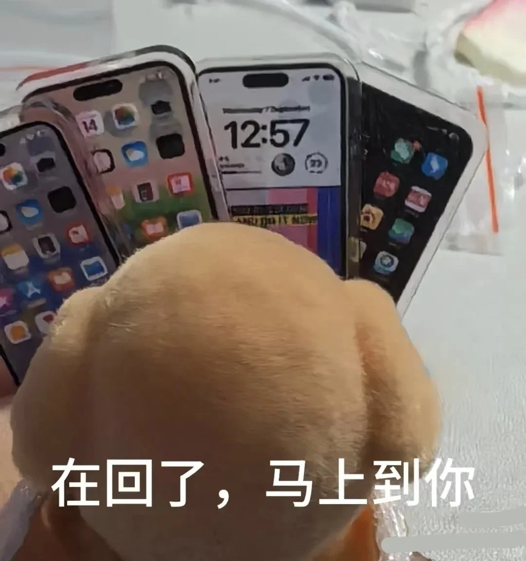 石家庄招聘带货主播不坐班！