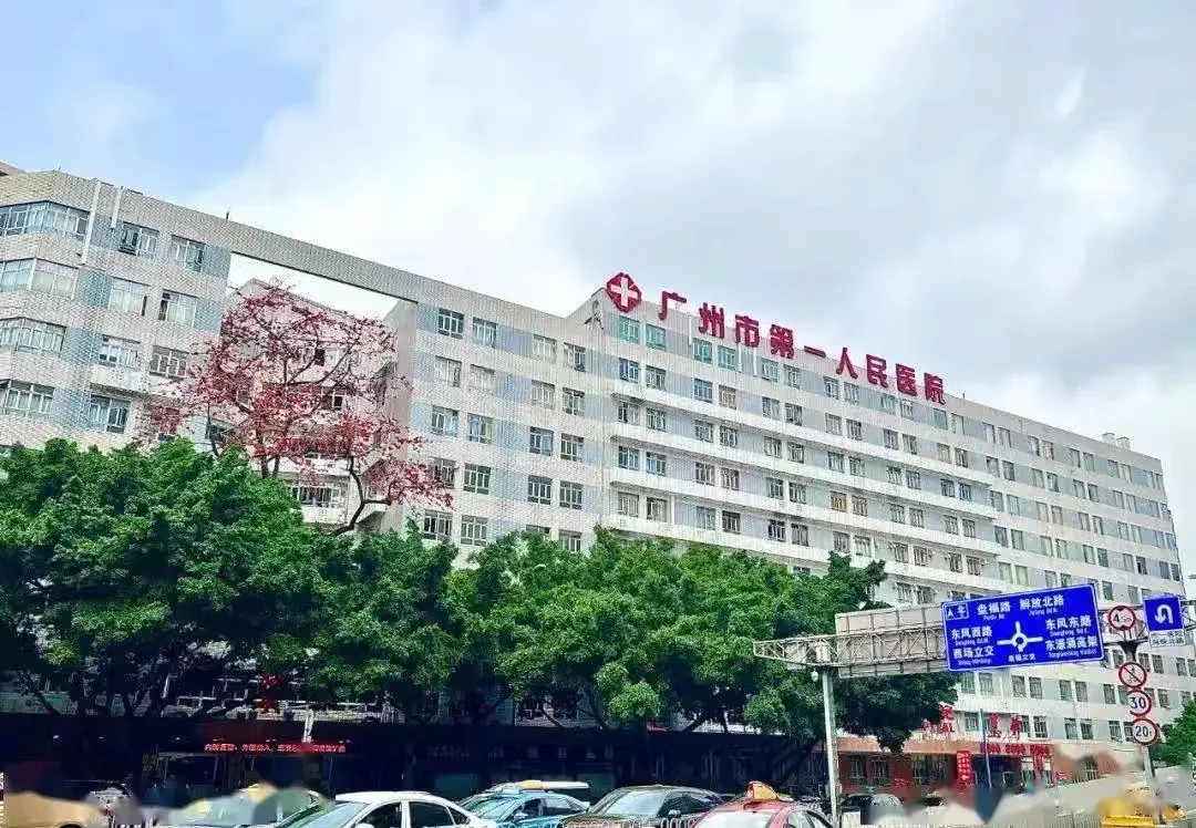 需要大量医生，护士，护理，康复等等职位