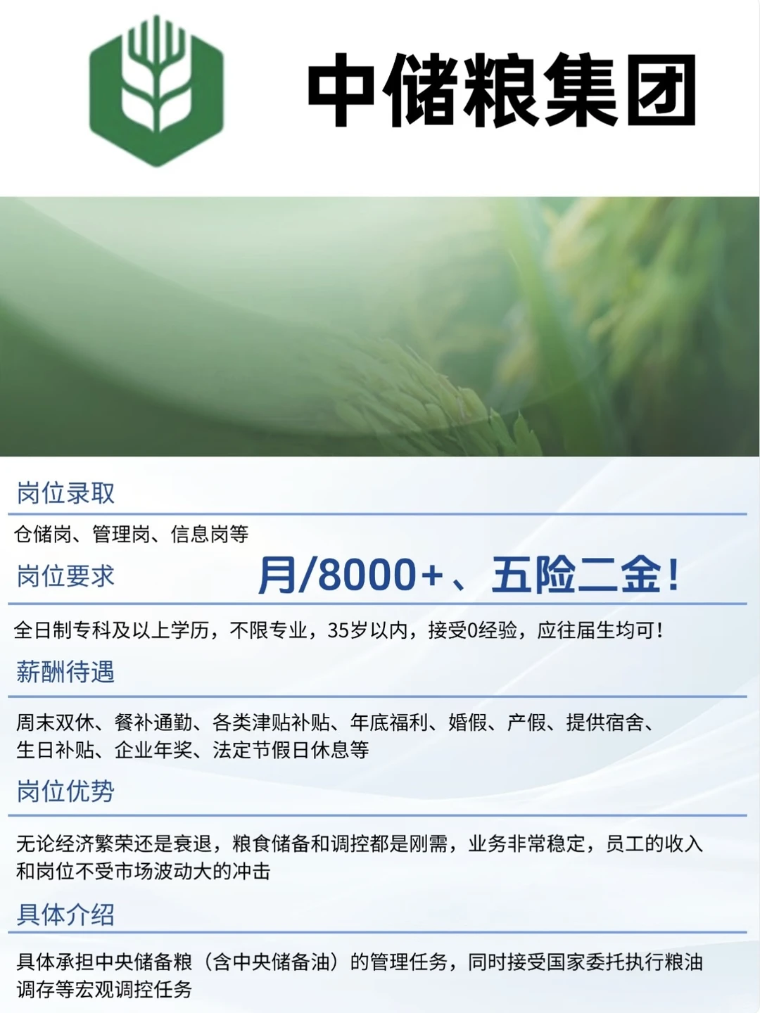 应往届生必看！中储粮捞人启动，速投！