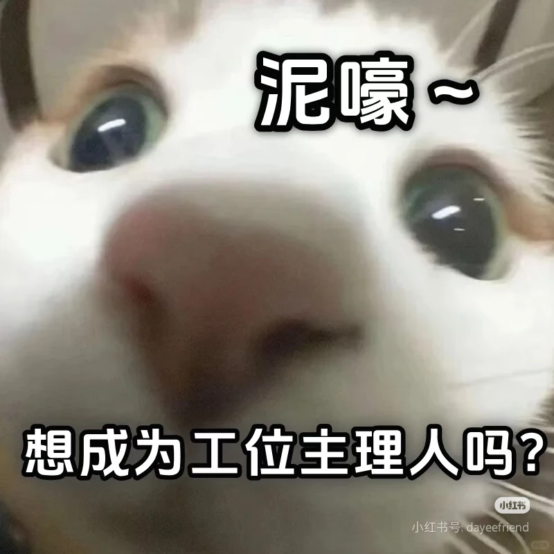 急招SEO总监｜25-35K高薪直聘✨