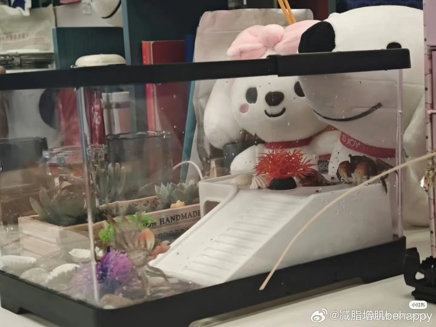 [新增1个岗位，优可转正]项目组实习生招聘