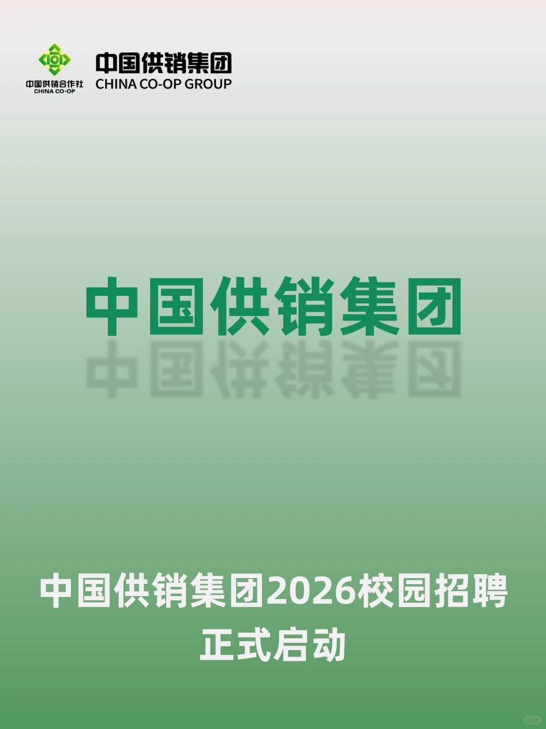 中国供销集团2026校园招聘正式启动！！