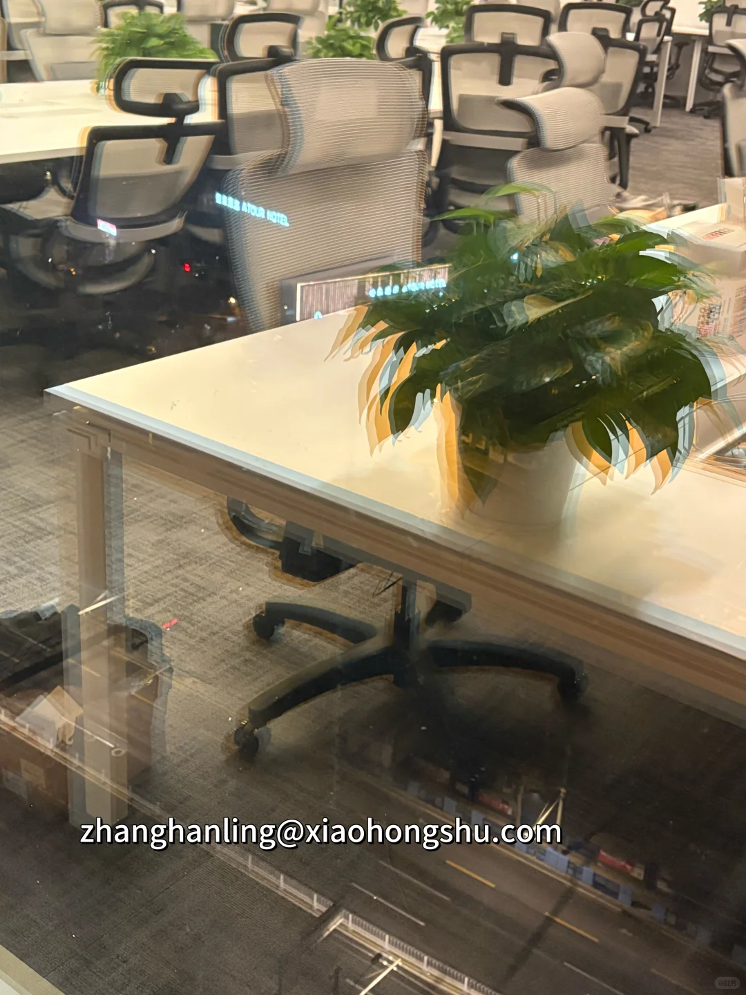 mentor直招！小红书内容运营实习继任