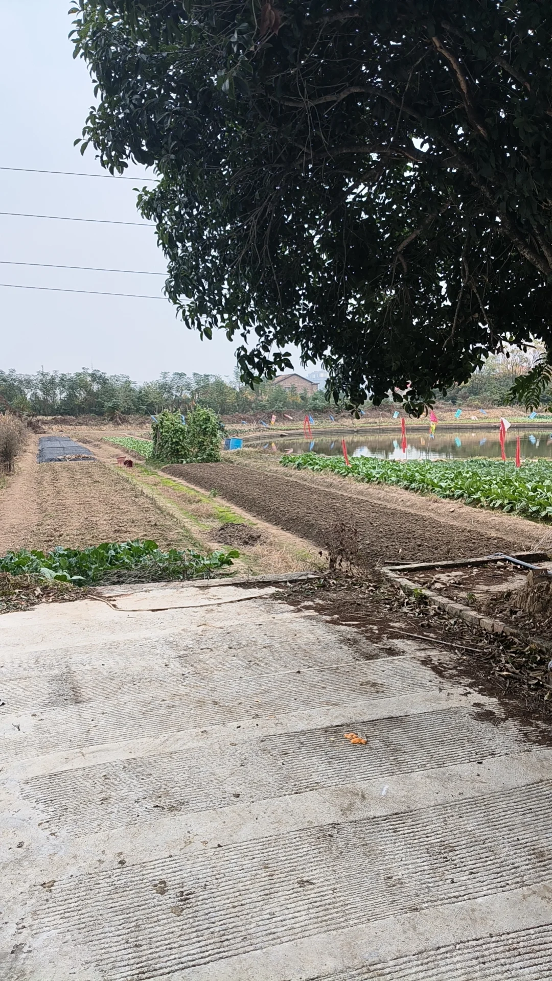 衡阳工作避雷！！！