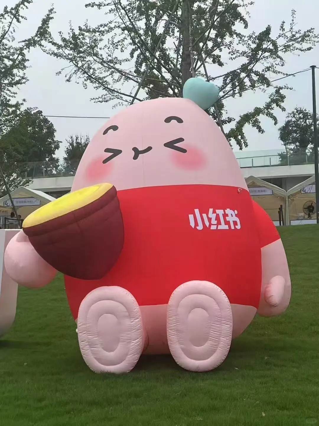 小红书招人啦！！