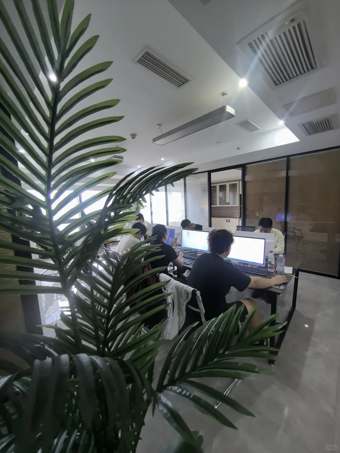 三亚急聘！只做租赁+7小时班+双休+旺季暴富