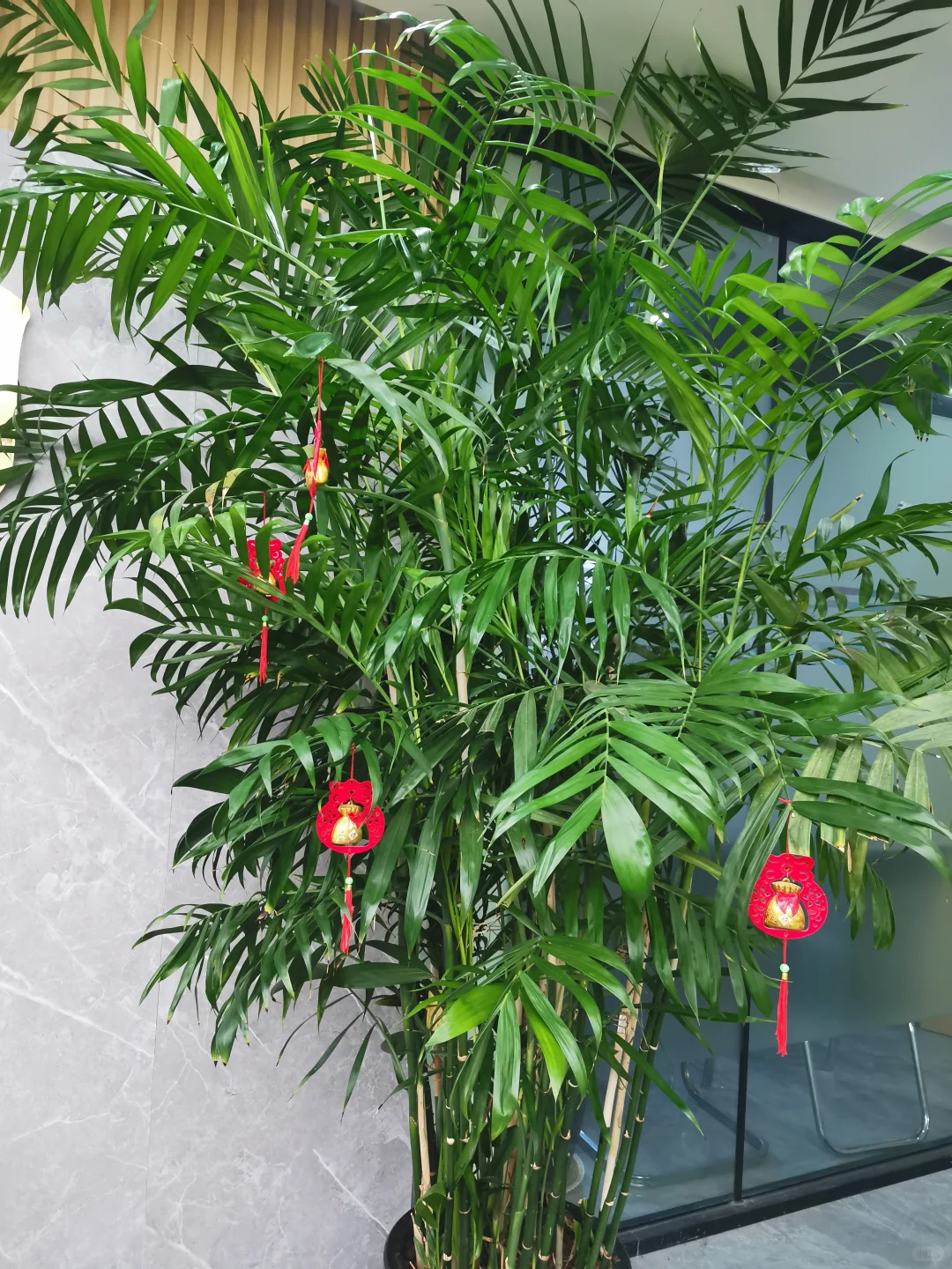 带货主播招募令