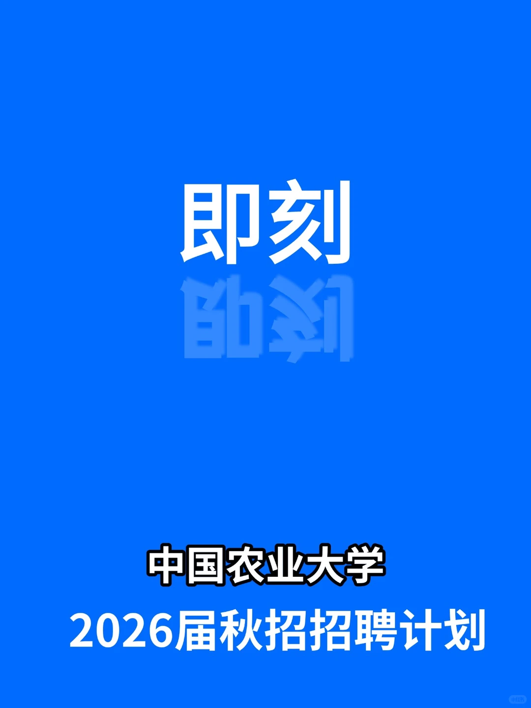 中国农业大学招聘！投递投递！