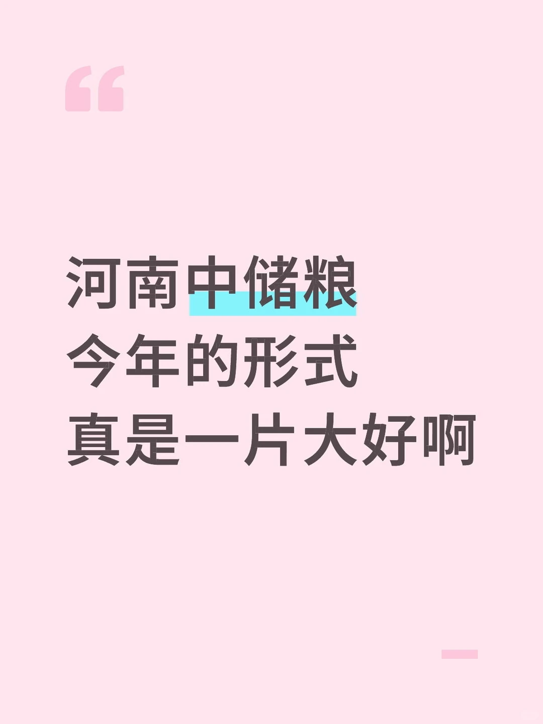 河南中储粮今年的形式真是一片大好啊