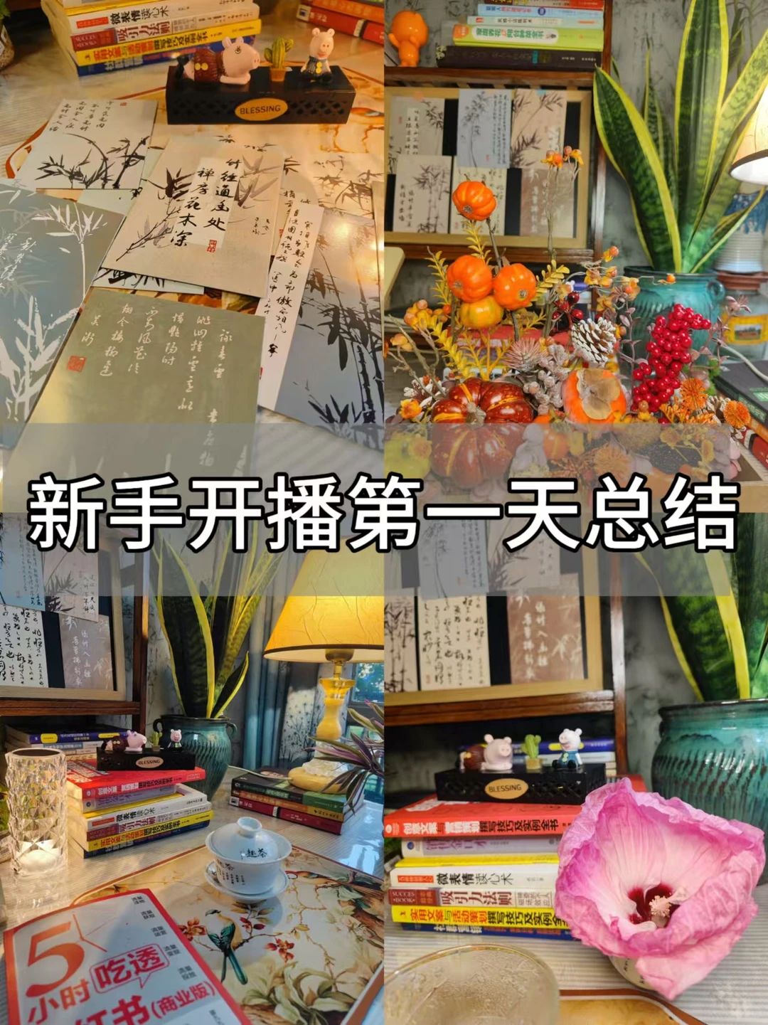 新人首次直括总结