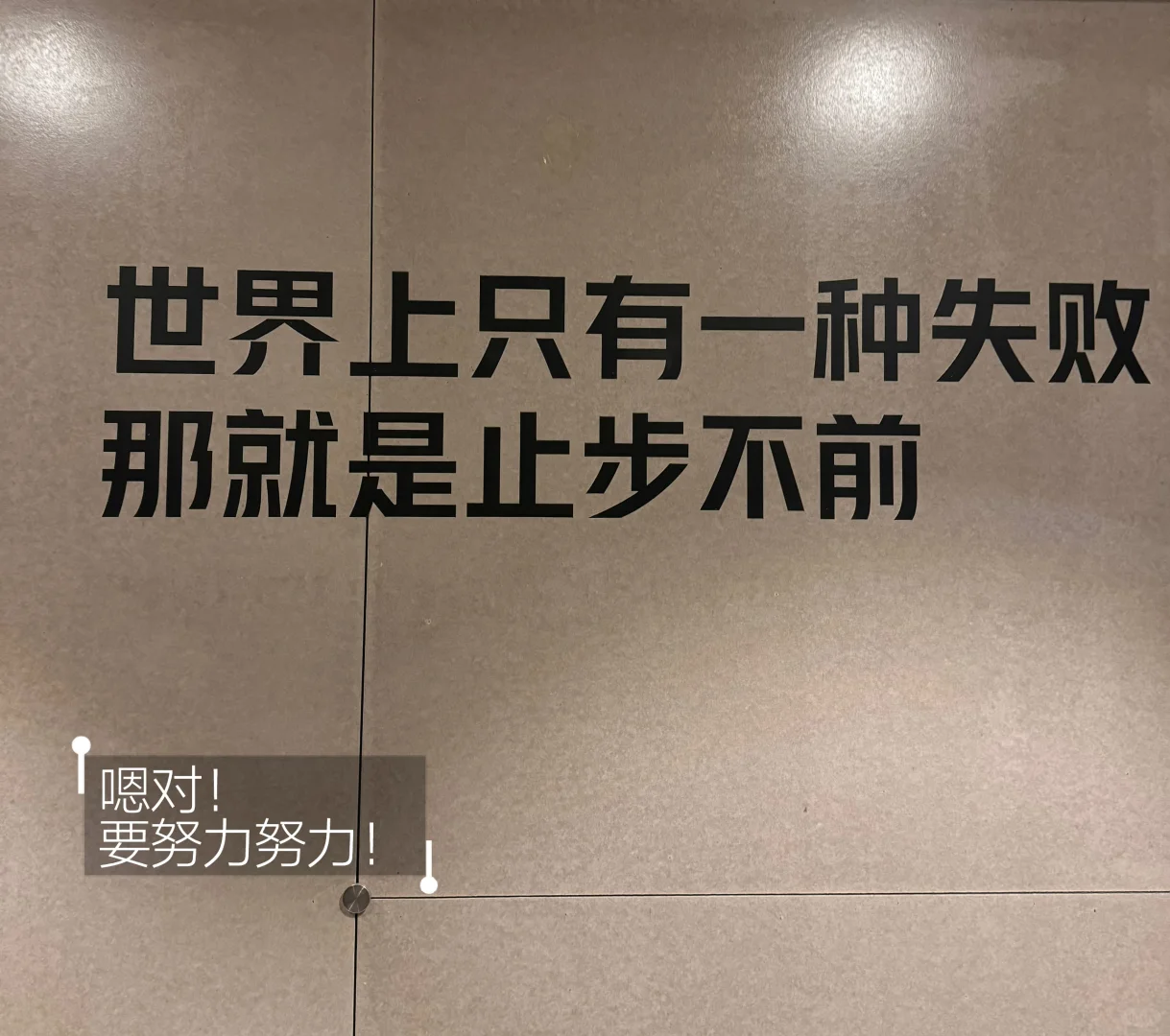 研二Plog ｜羽毛球爱好者日常🏸️