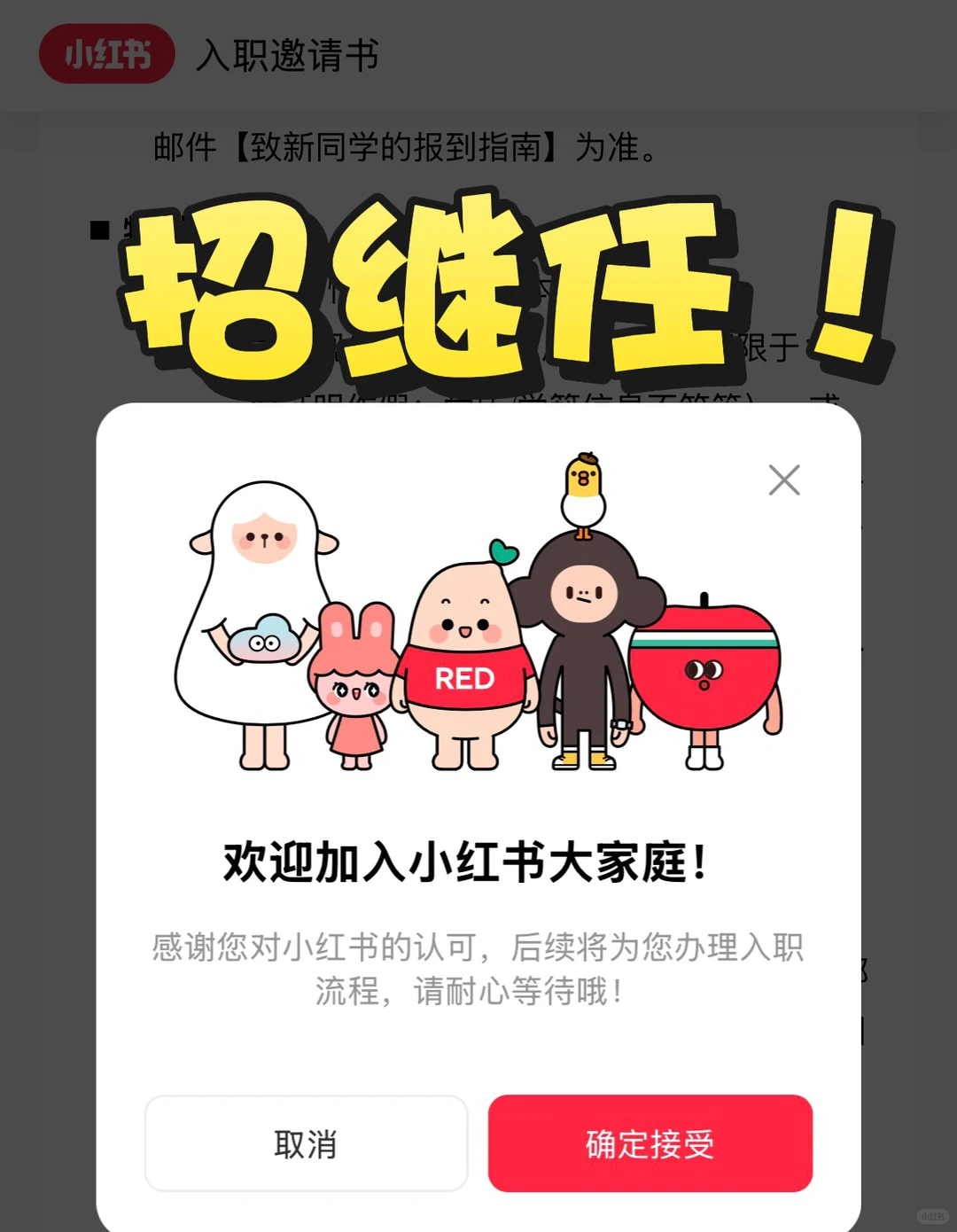 mentor直招！小红书内容运营实习继任