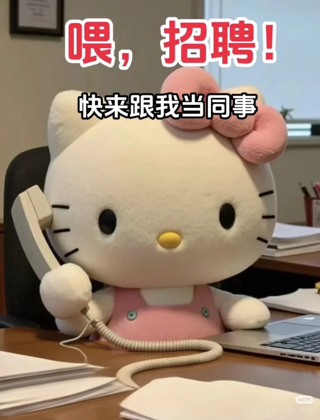 有人找工作吗！招聘商务专员！