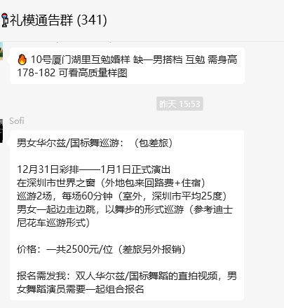 深圳世界之窗 男女华尔兹/国标舞巡游