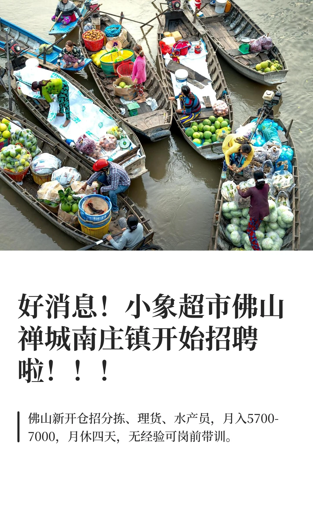 好消息！小象超市佛山禅城南庄镇开始招聘啦