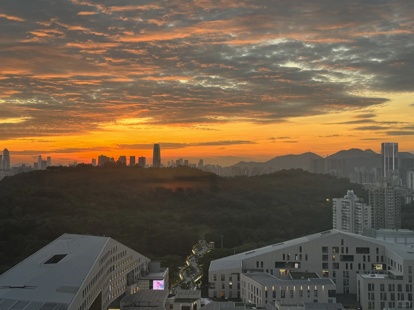 真BOSS直聘，投资/PR岗，深业上城，8-20k