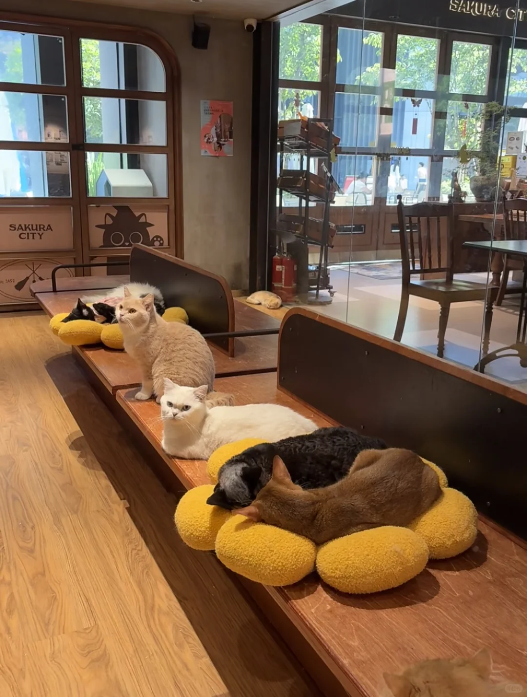 武汉咖啡店日结兼职220一天！