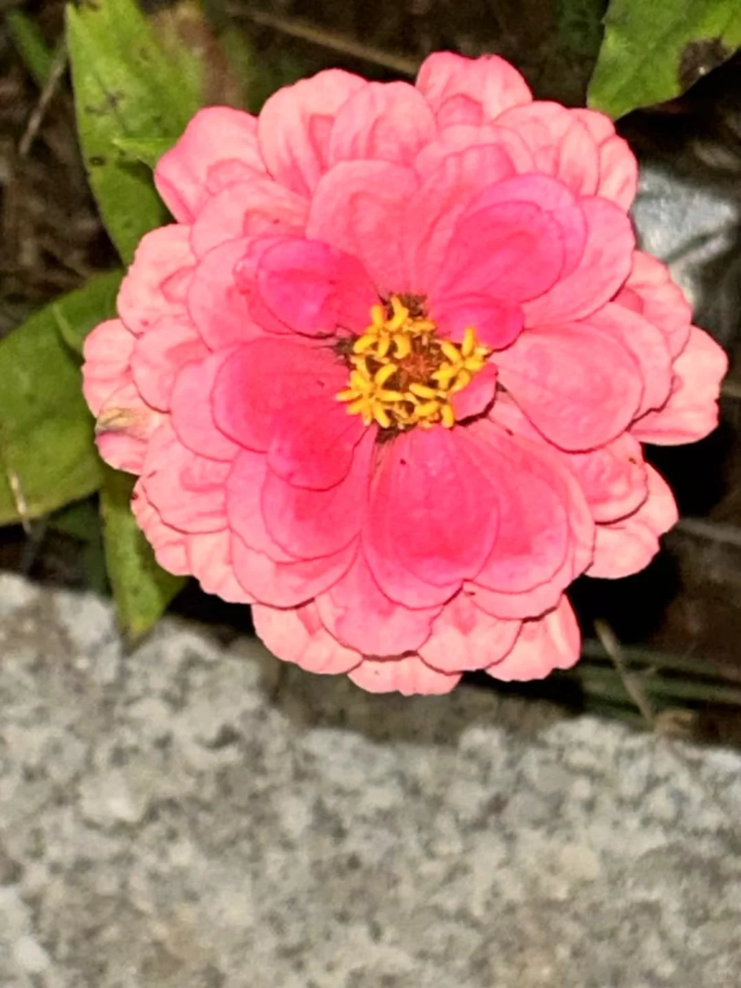 挖呀，挖呀，挖，挖人了