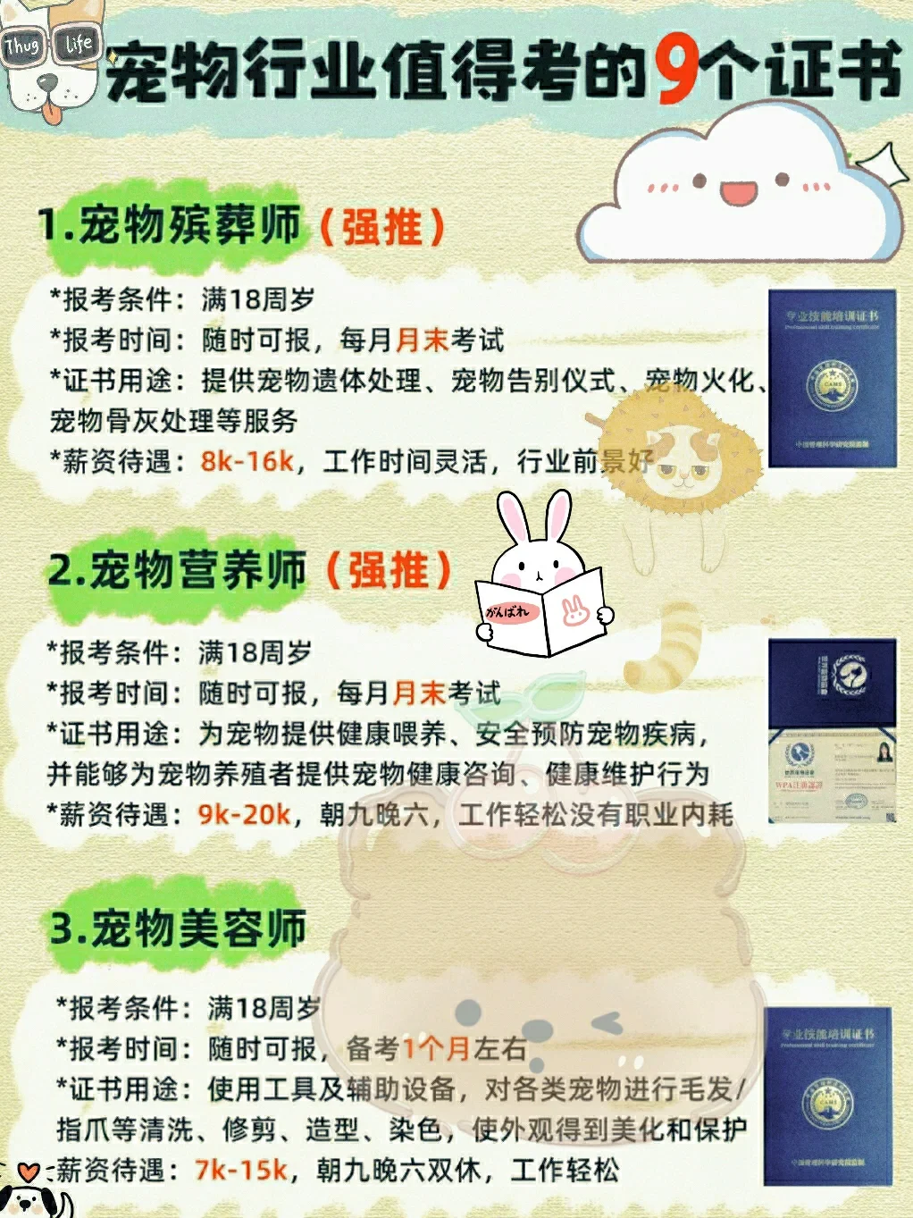 抓住未来十年风口，宠物行业巨吃香