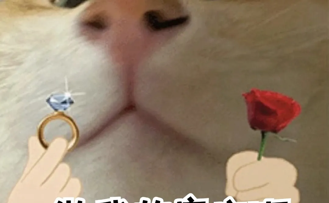 急聘！急聘！！急聘！！！