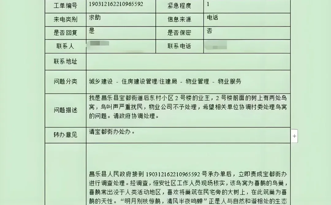 12345热线：直击成长痛点，破解发展