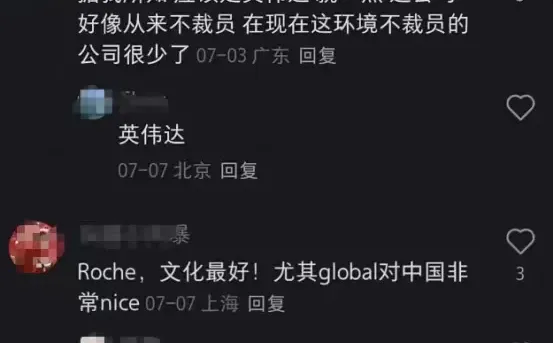 留子公认的外企白月光（一次说清）